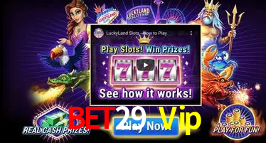 Bet29 Vip